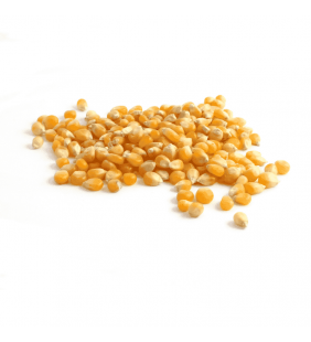 Maïs à Pop Corn 300g