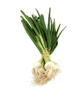 Oignons Cébettes (1 botte)