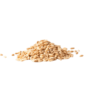 Petit Épeautre 500g