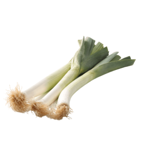 Poireaux 500g