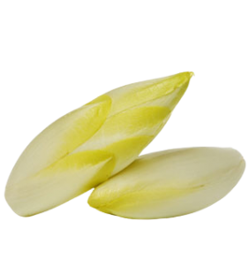 Endive Witloof 300g