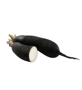 Radis Noir 300g
