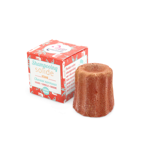 Shampoing solide Noël pour Cheveux Normaux