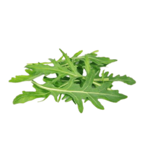 Roquette 120g