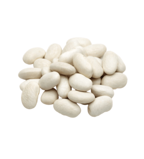 Haricots Blancs Bio 500g