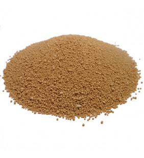 Levure Maltée Bio 100g