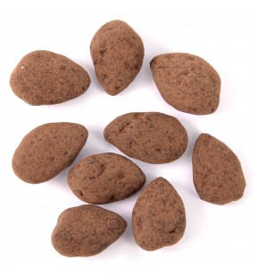 Amandes Caramel Chocolat 100g