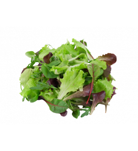 Mesclun 100g