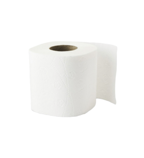 Papier toilette Grand Format (4 rouleaux)