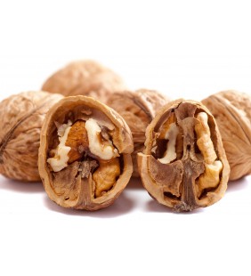 Noix de Grenoble AOP  500g