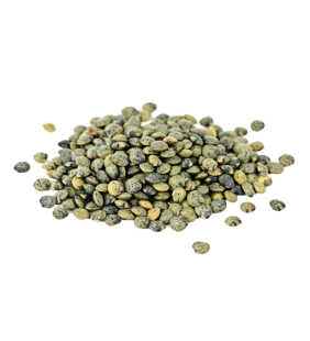 Lentilles Vertes Bio 500g