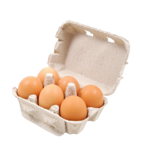 Oeufs Biologiques (Boîte de 6)