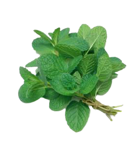 Menthe fraîche (1 botte)