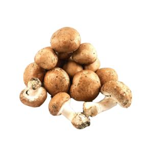 Champignons De Paris Bio 250g