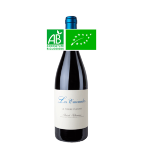 La Pierre Plantée - Saint Chinian AOP