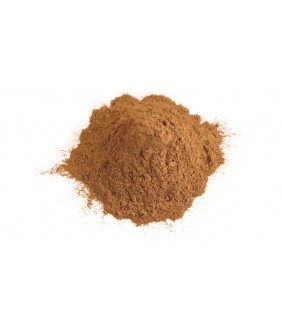 Cannelle Moulue Bio 100g