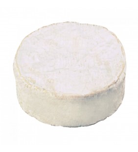 Petit Camembert AOP 150g