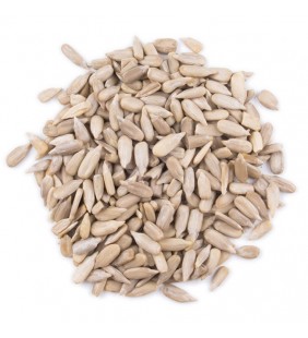 Graines de Tournesol Bio 100g