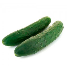 Concombre Court 300g
