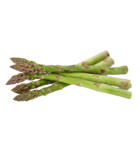 Asperges Vertes 400g