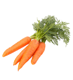 Carottes 1kg