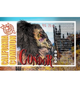 Bière The Condor California Ale 33cl